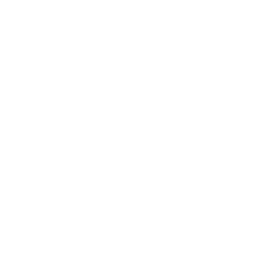 QR Icon